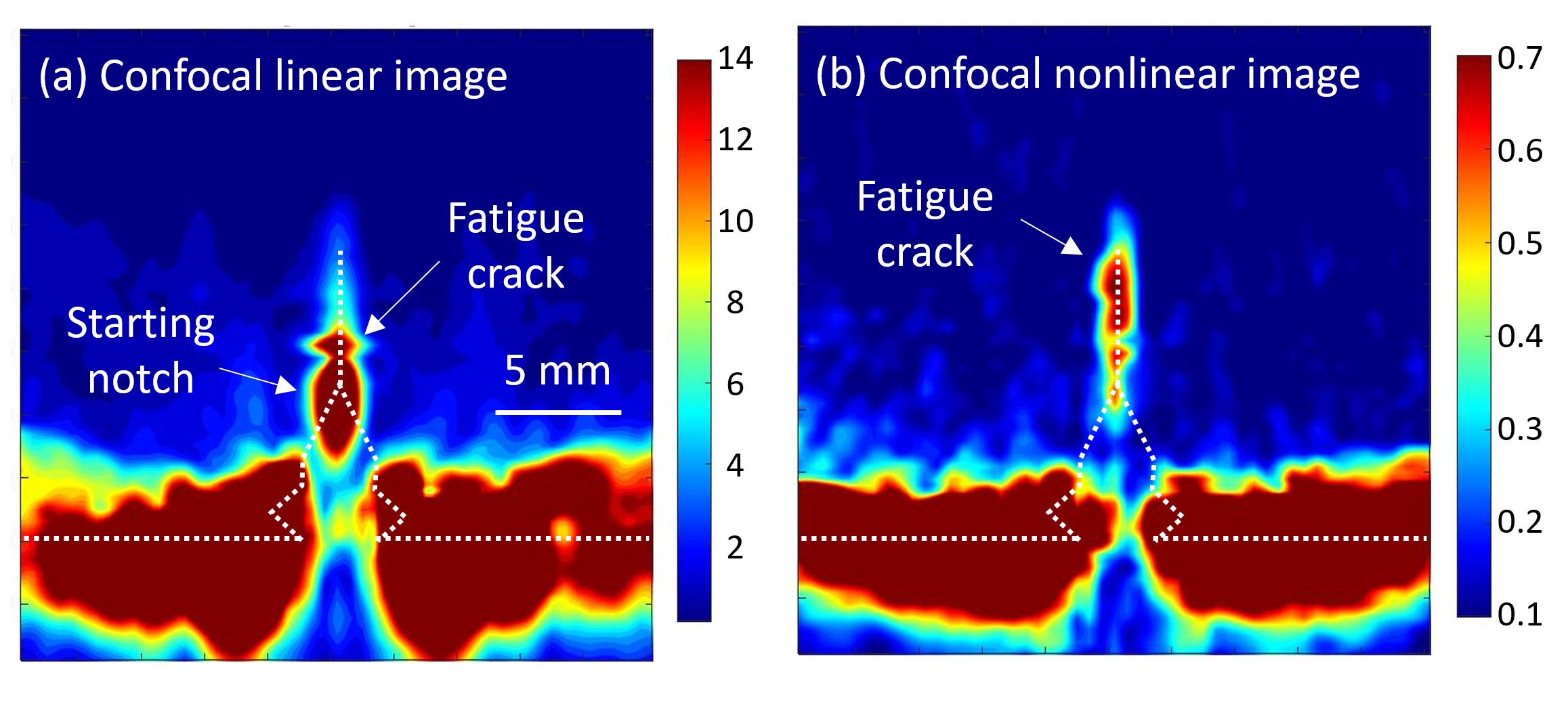 Ultrasonic scatterings at closed crack